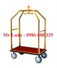 xe-day-hanh-ly-khach-san-d8 - ảnh nhỏ  1